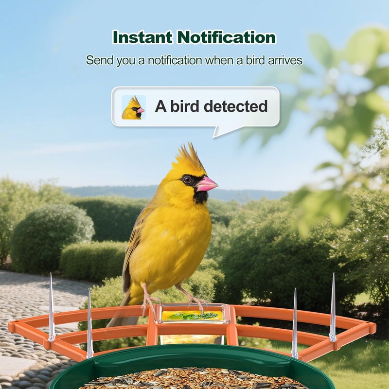 Gyozol Bird Feeder with Camera,WiFi Smart Bird House with Cam Solar Powered for Outdoor,AI Identify,App Notification,Night Vision,2K Live View,Auto Record Video,Birdwatching Gifts for Family,Birds Lover - Image 3